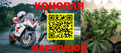 гидра Малоярославец