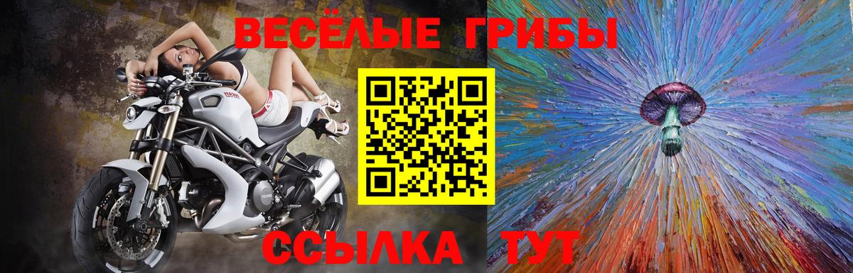 Псилоцибиновые грибы ЛСД Губаха