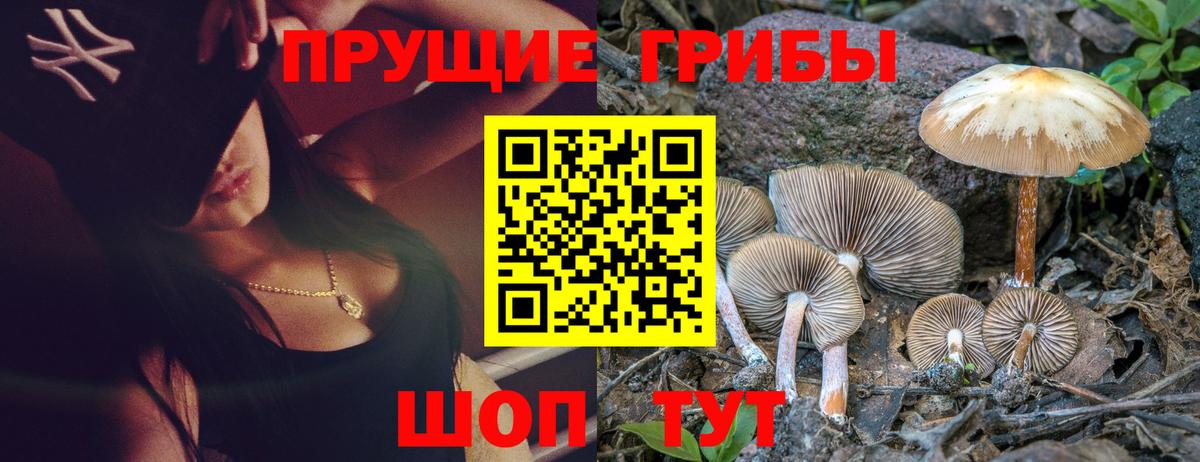 Губаха  цены наркотик  Псилоцибиновые грибы Psilocybine cubensis  Вход с VPN  Галлюциногенные грибы ЛСД 